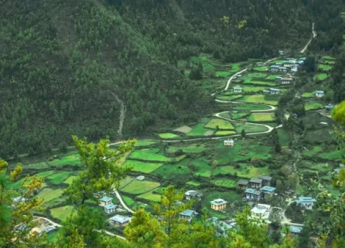 Bhutan Walks: A Journey into Tradition and Culture Must Visit