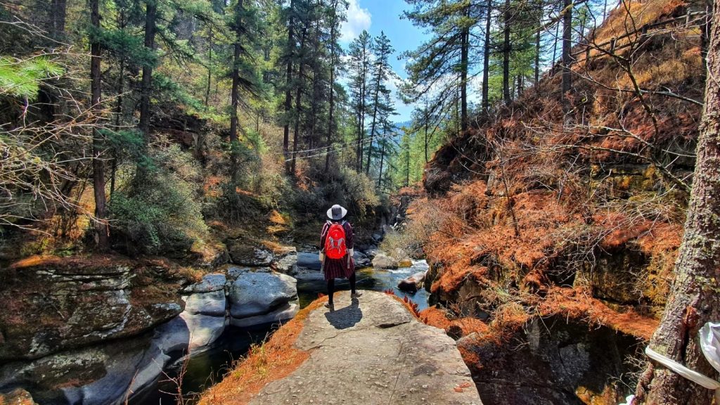 Best Hiking & Trekking Trail in Bhutan for – A Nice Try for Beginners