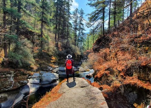 Best Hiking & Trekking Trail in Bhutan for – A Nice Try for Beginners